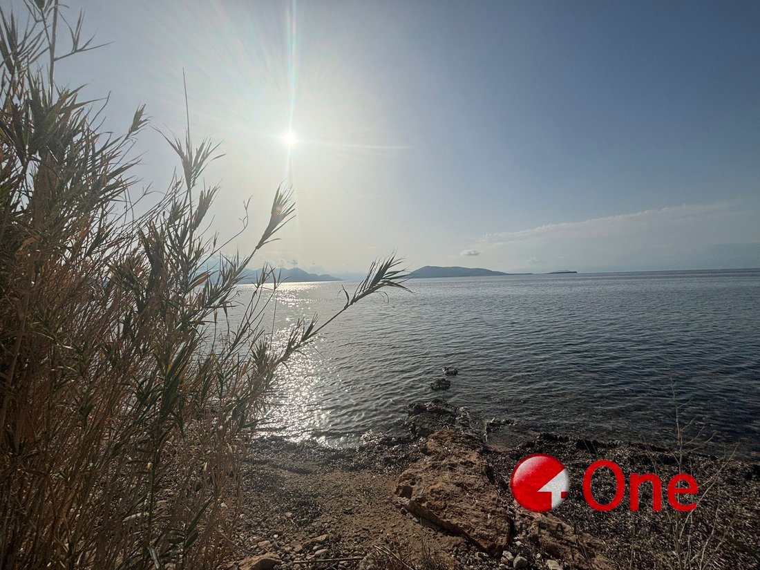 Land in Aegina, Attica, Greece 1 - 17930612