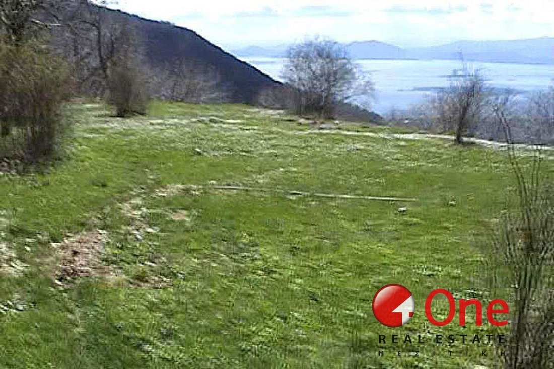 Land in Volos, Thessaly and Central Greece, Greece 3 - 17930856