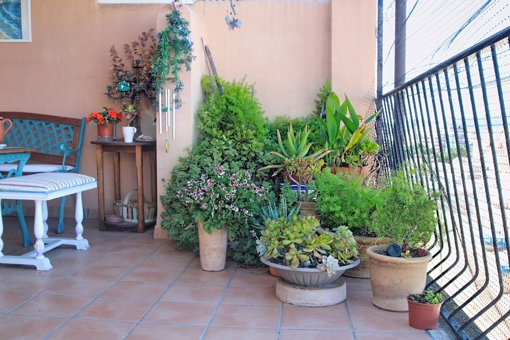 Apartment in Palma, Balearic Islands, Spain 5 - 17928737