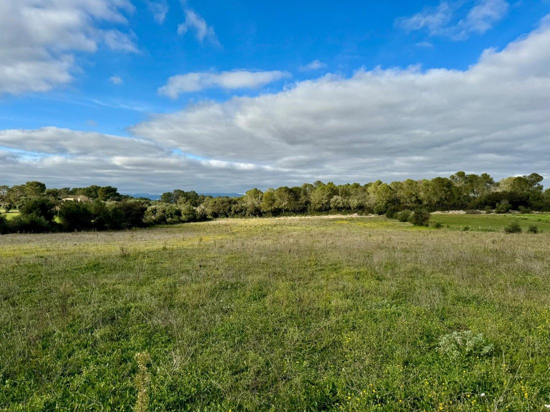 Terreno en Lloret de Vista Alegre, Islas Baleares, España 3 - 17932569