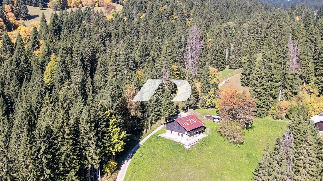 Chalet in Saint-Jean-d'Aulps, Auvergne-Rhône-Alpes, France 3 - 17941880