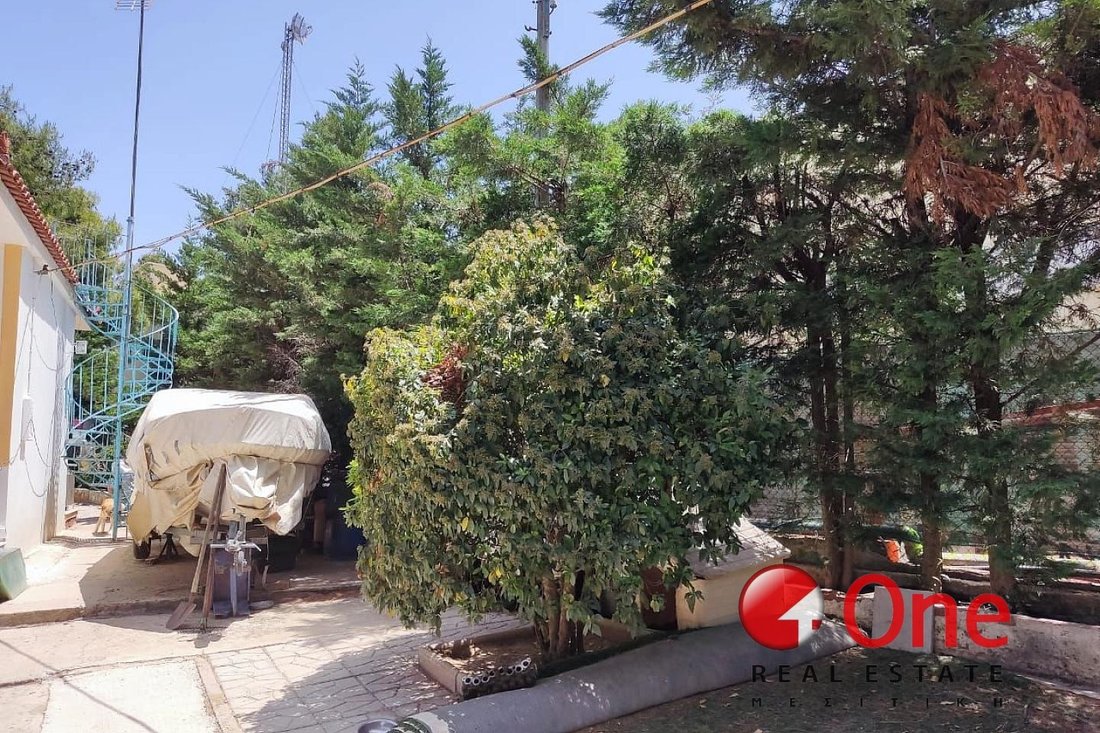 Land in Dionysos, Attica, Greece 5 - 17931542