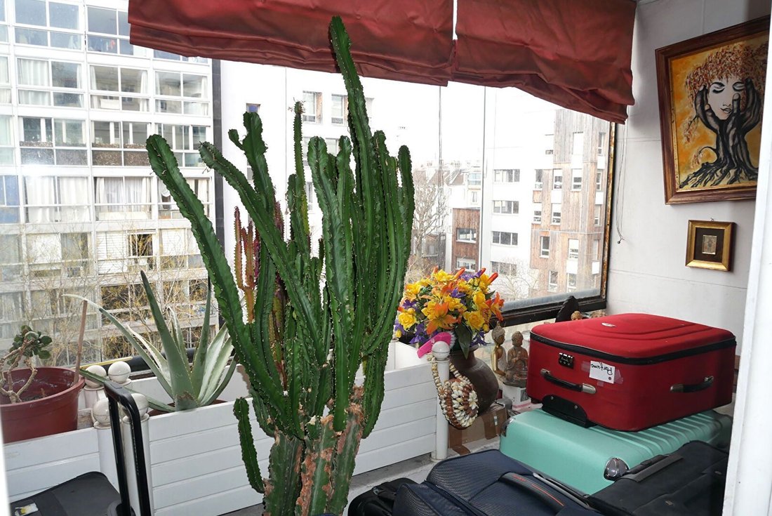 Apartment in Bois de Boulogne, Paris 16e Arrondissement, Paris 2 - 17068526