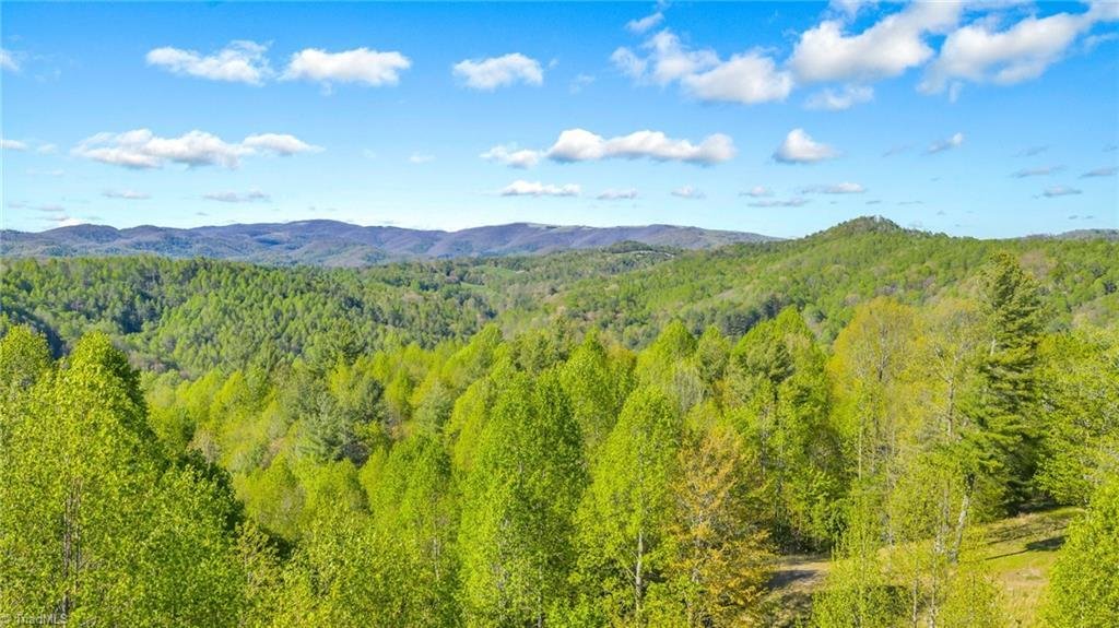 House in Creston, North Carolina, United States 3 - 17943602