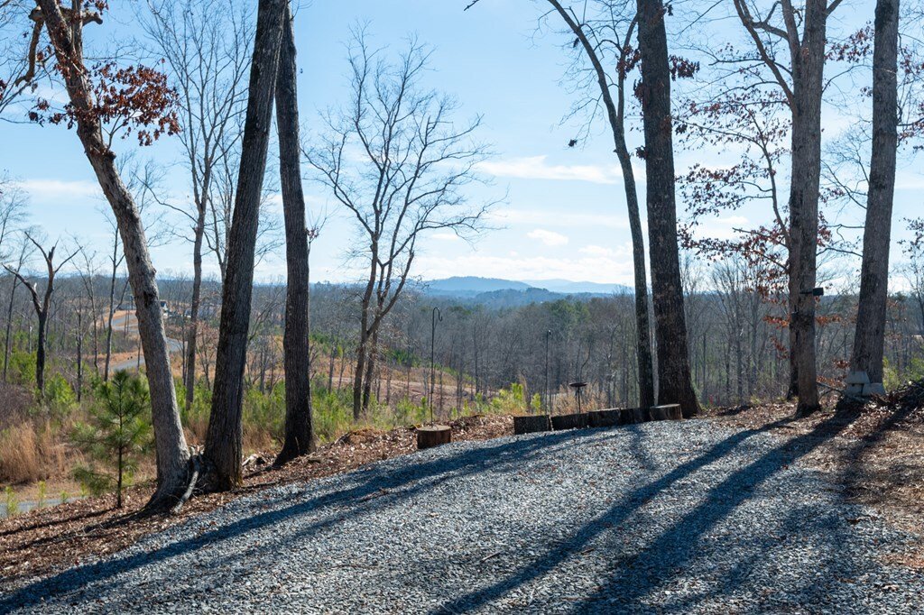 House in Ellijay, Georgia, United States 4 - 17932579