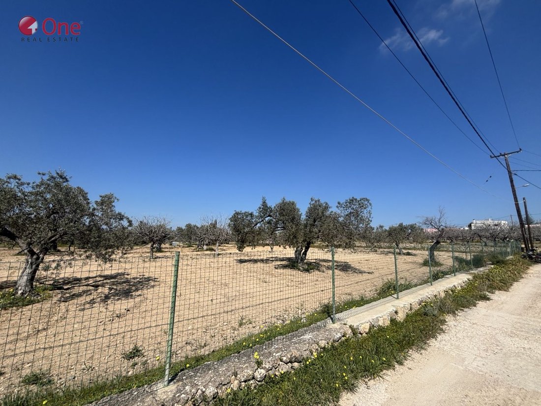 Land in Aegina, Attica, Greece 5 - 17930517