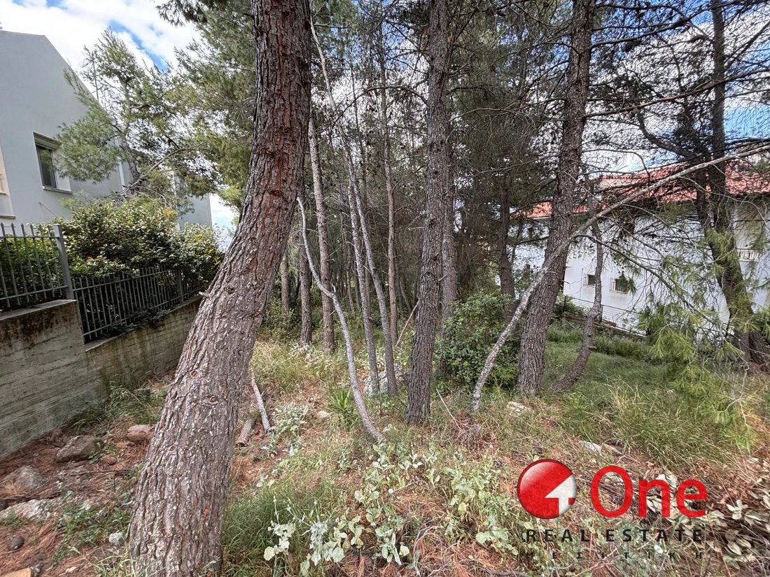 Land in Dionysos, Attica, Greece 1 - 17930881