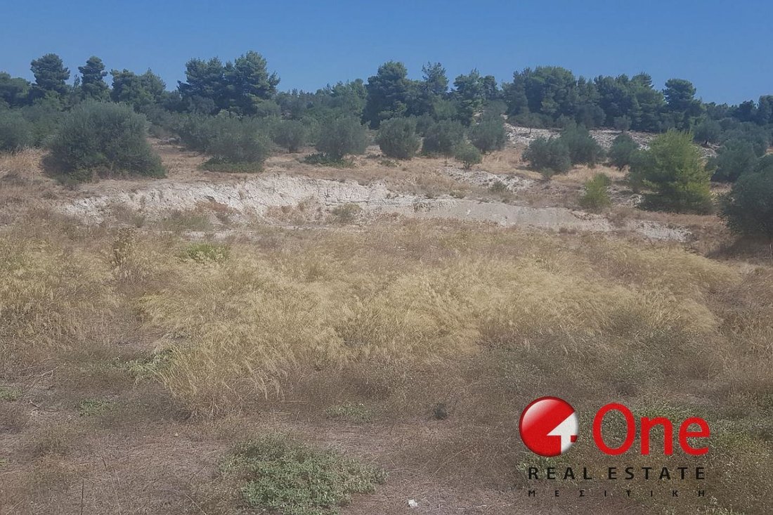 Land in Koinotita Oinophuton, Inofyta, Greece 4 - 17931669