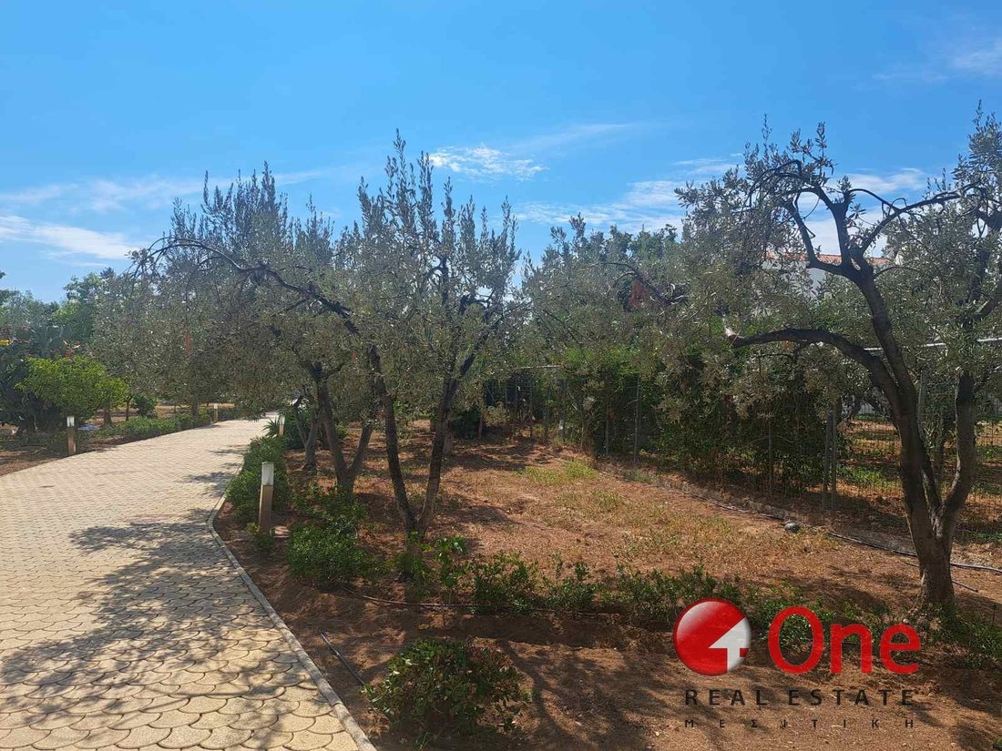 Villa in Megara, Attica, Greece 2 - 17932221