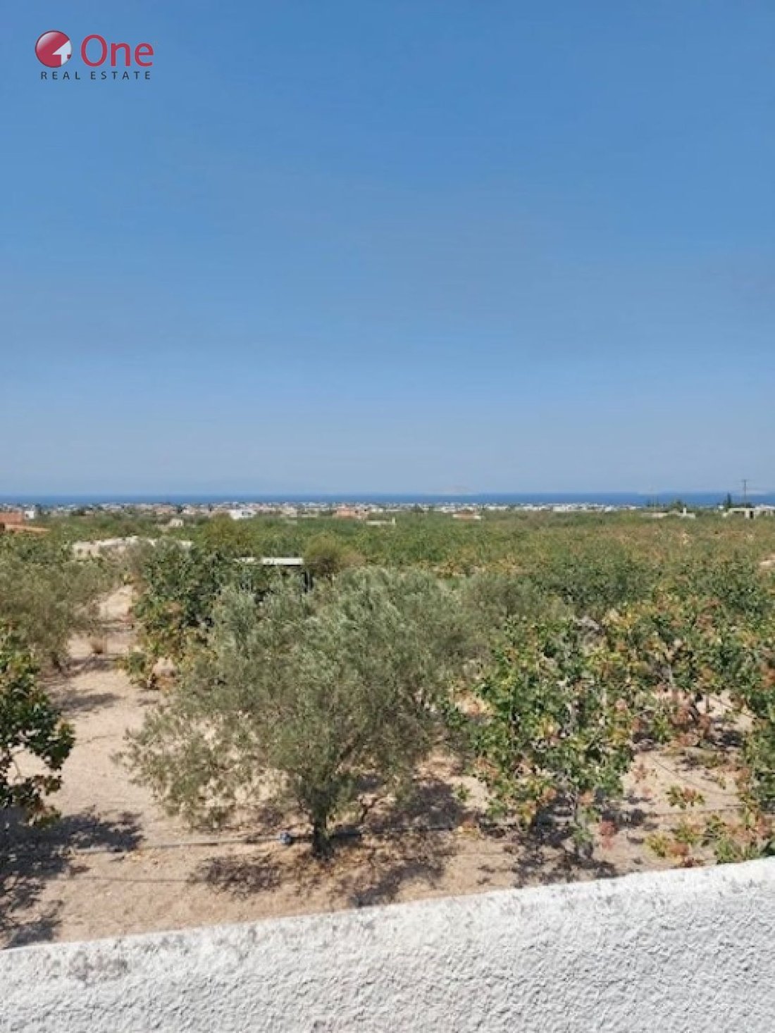Land in Aegina, Attica, Greece 3 - 17931948