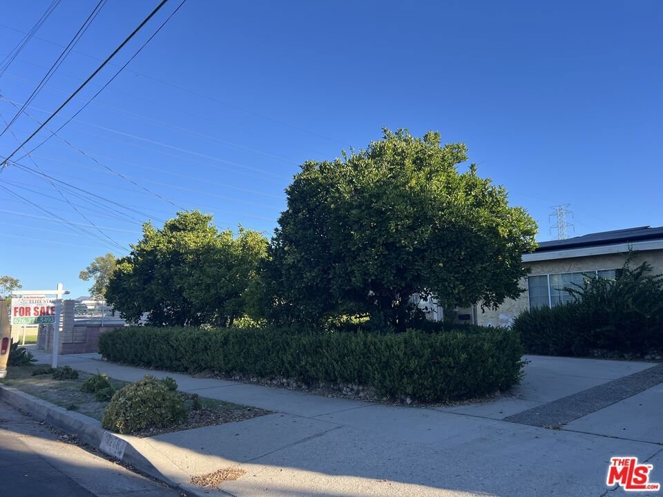 Los Angeles, California, United States 3 - 17936876