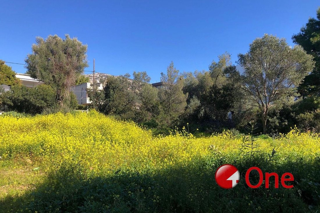 Land in Saronida, Attica, Greece 4 - 17930811