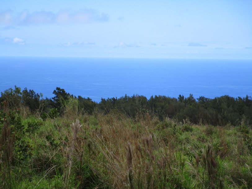 Land in Laupahoehoe, Hawaii, United States 1 - 17935041