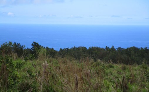 Land in Laupahoehoe, Hawaii, United States 1