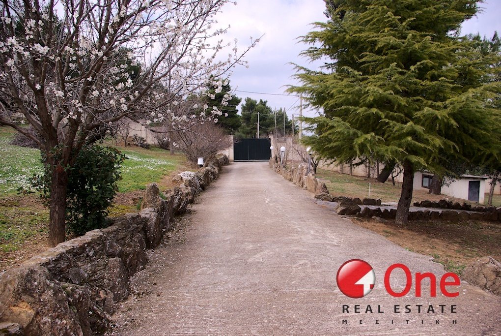 House in Oropos, Attica, Greece 1 - 17931902