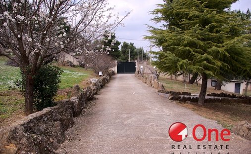 House in Oropos, Attica, Greece 1