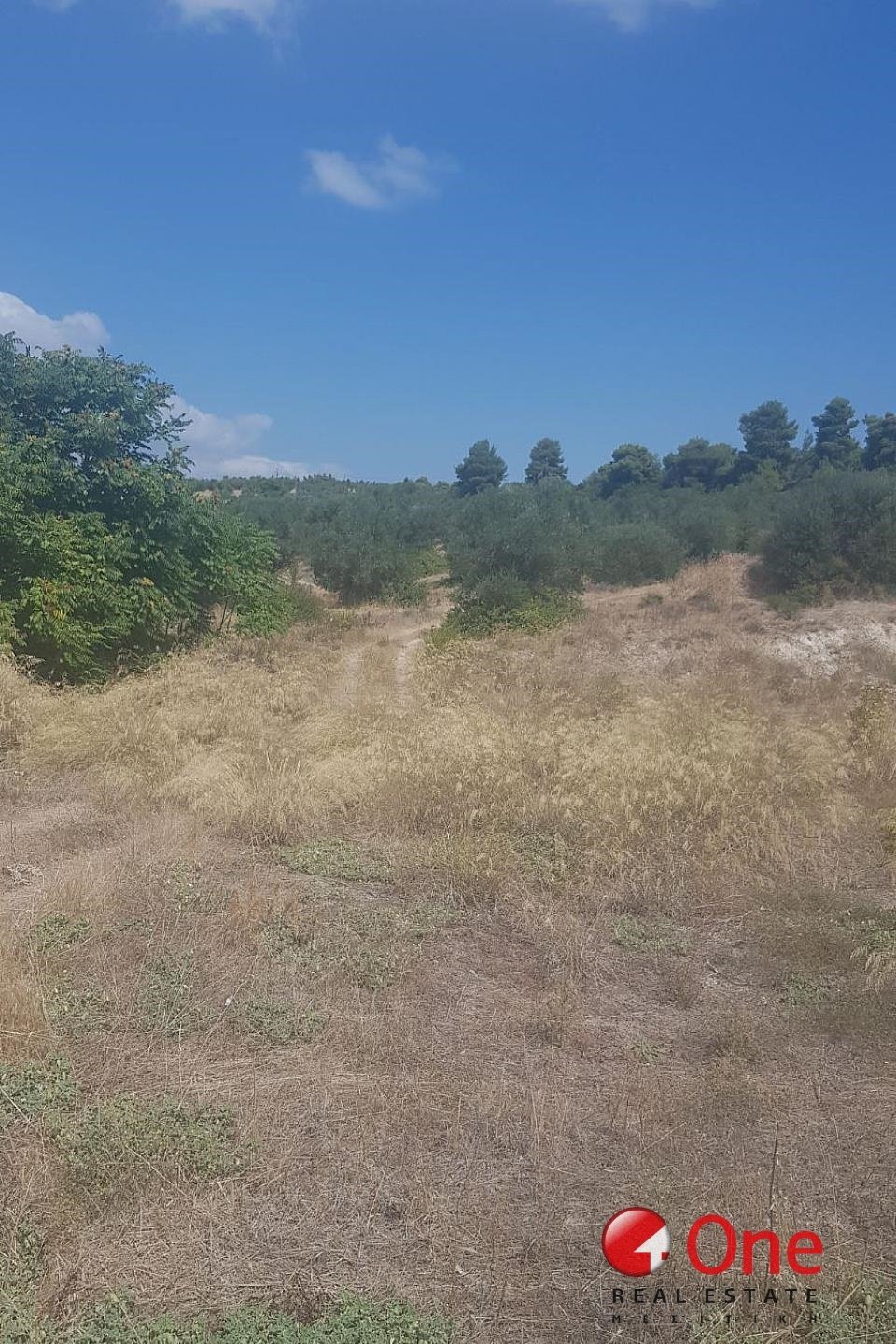 Land in Koinotita Oinophuton, Inofyta, Greece 5 - 17931669