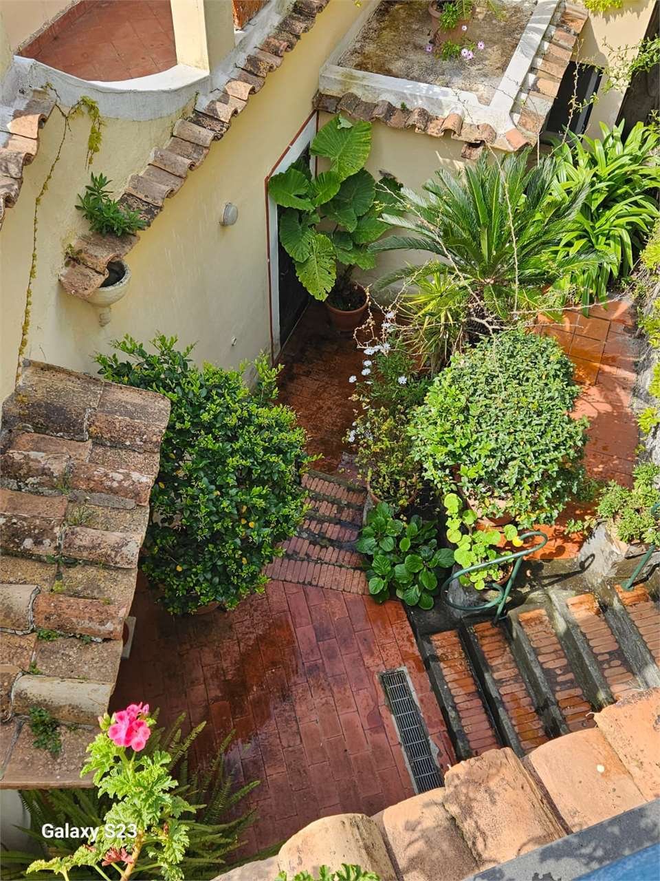 Apartment in Positano, Campania, Italy 3 - 17649693