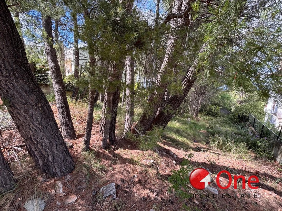 Land in Dionysos, Attica, Greece 3 - 17930881