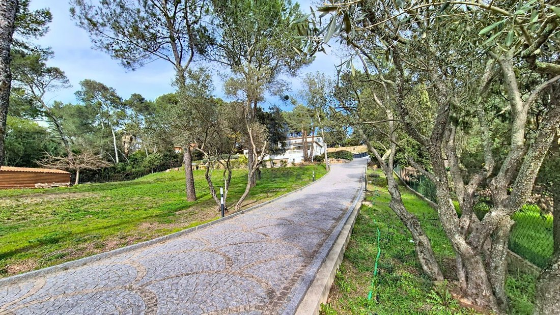 Villa in Nord RN, Puget-sur-Argens, France 5 - 16409884