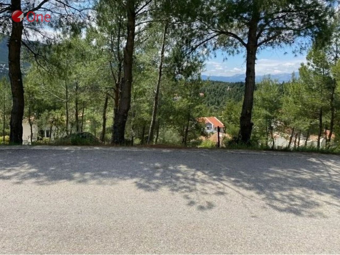 Land in Dionysos, Attica, Greece 2 - 17930322