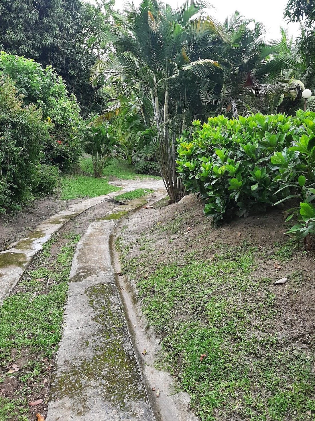 House in San Carlos District, Panama, Panama 2 - 17942454
