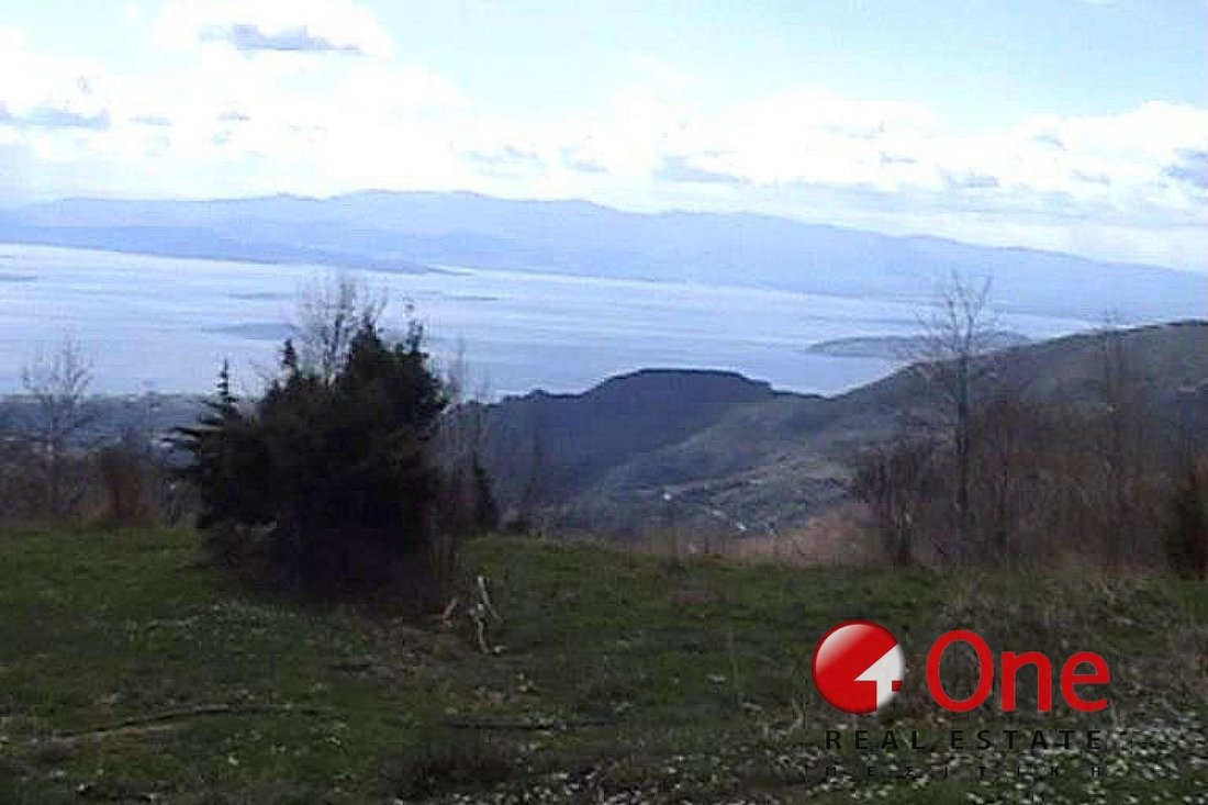 Land in Volos, Thessaly and Central Greece, Greece 4 - 17930856