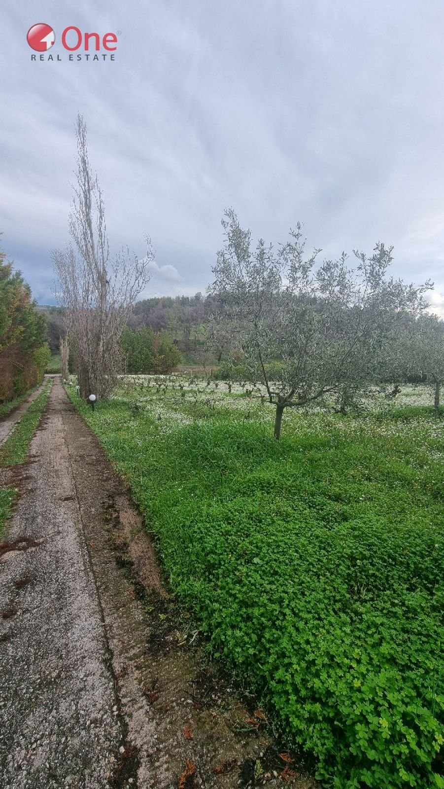 Villa in Oropos, Attica, Greece 3 - 17931035