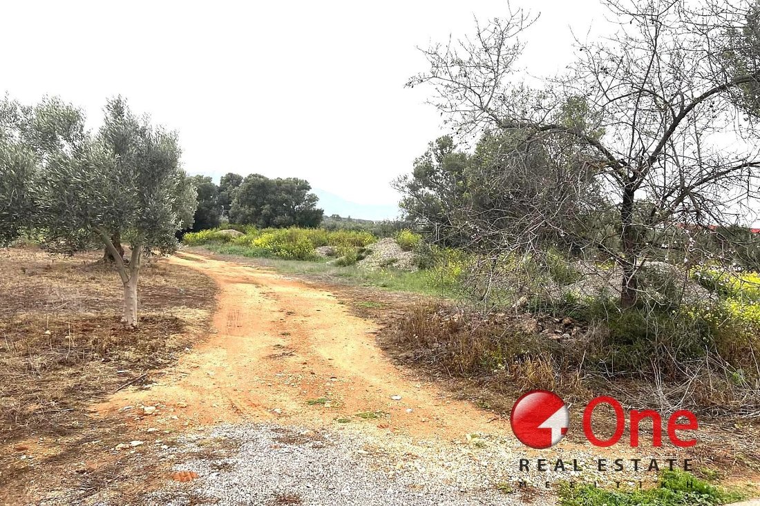 Land in Kropia, Attica, Greece 2 - 17931186