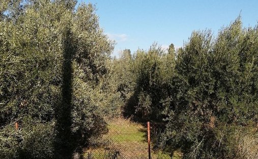 Terreno en Vari, Ática, Grecia 1