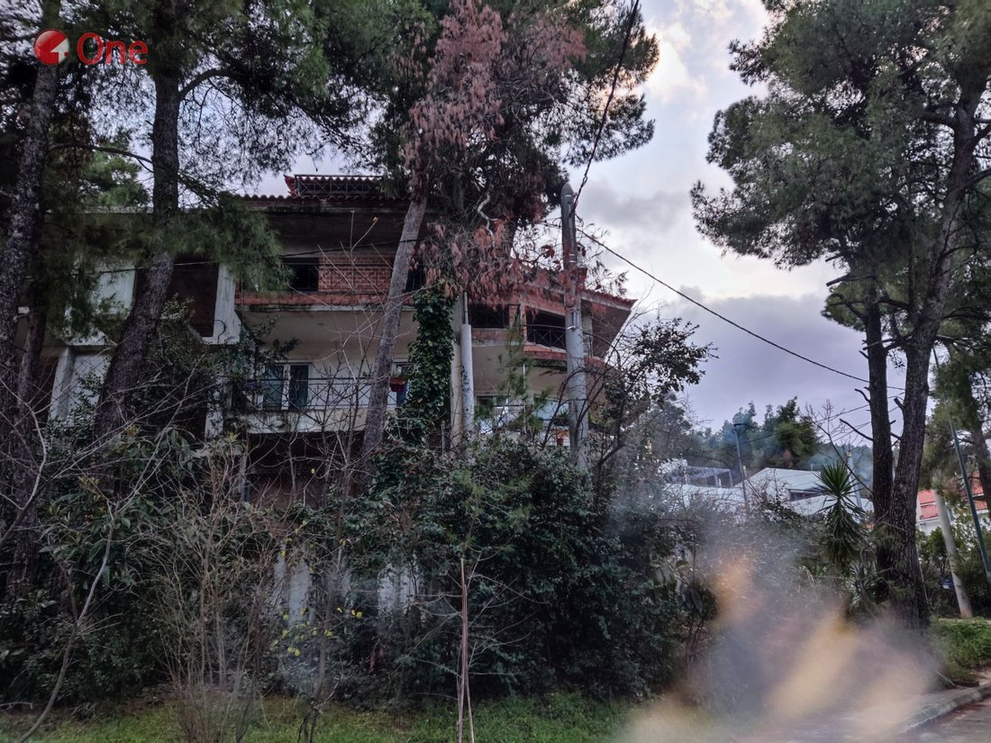 House in Dionysos, Attica, Greece 4 - 17931056