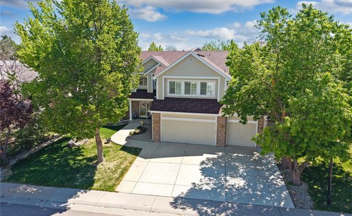 House in Lone Tree, Colorado, United States 1
