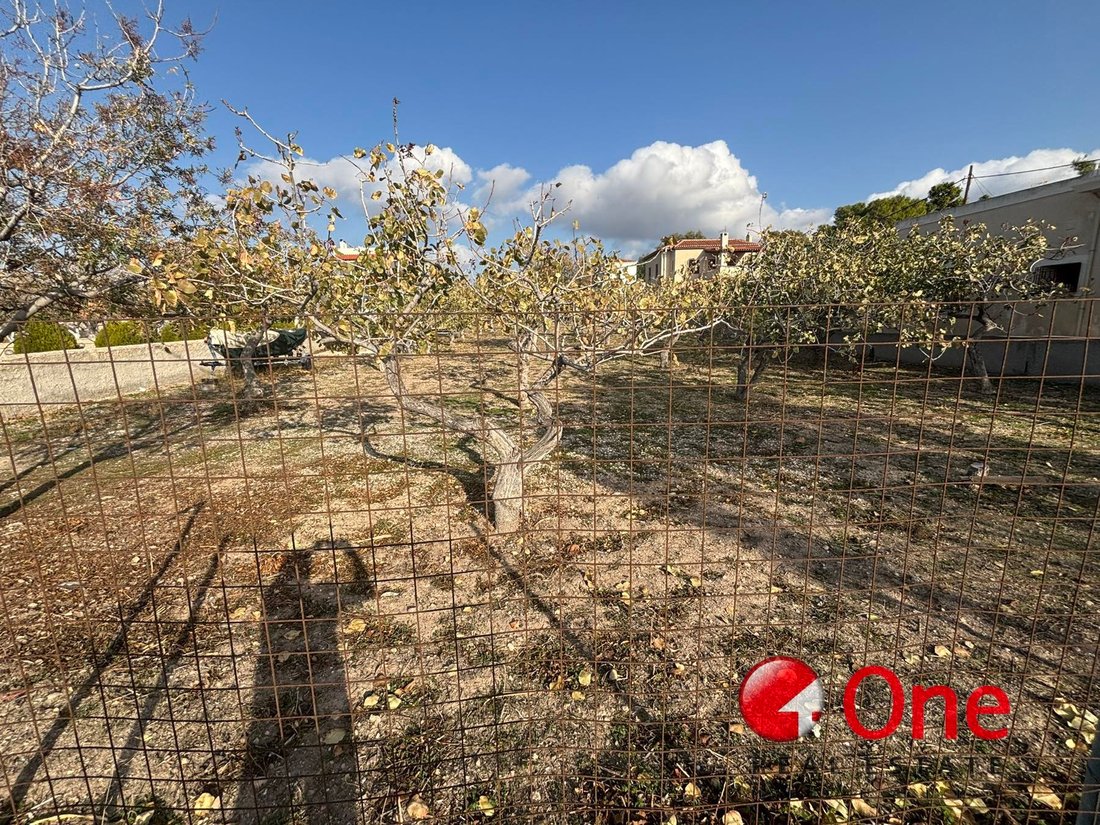 Land in Aegina, Attica, Greece 2 - 17930612