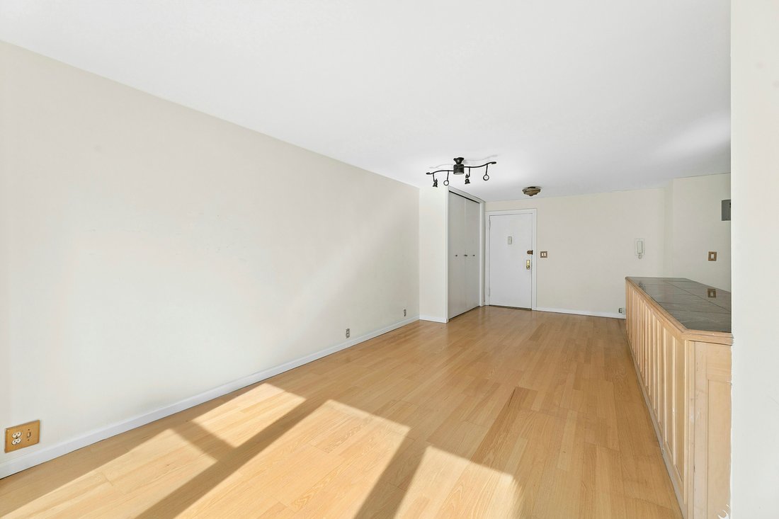 Condo in New York, New York, United States 3 - 17734656