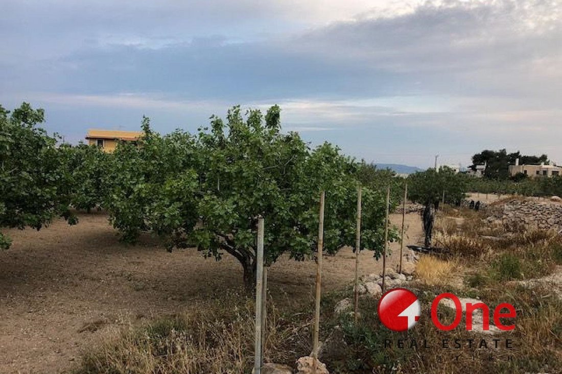 Land in Aegina, Attica, Greece 2 - 17931540