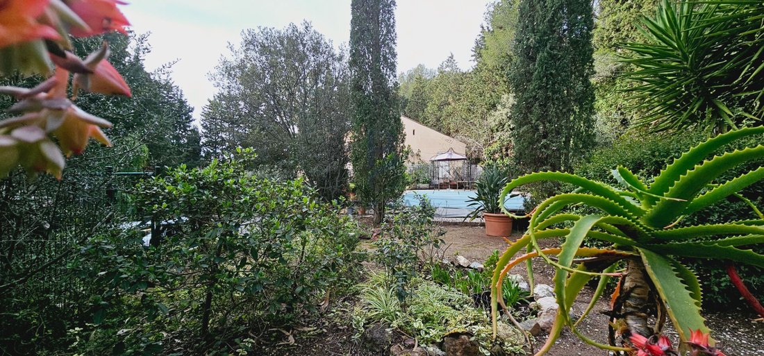 Villa in Le Dramont-Agay-Anthéor-Le Trayas, Saint-Raphaël, France 3 - 16409856
