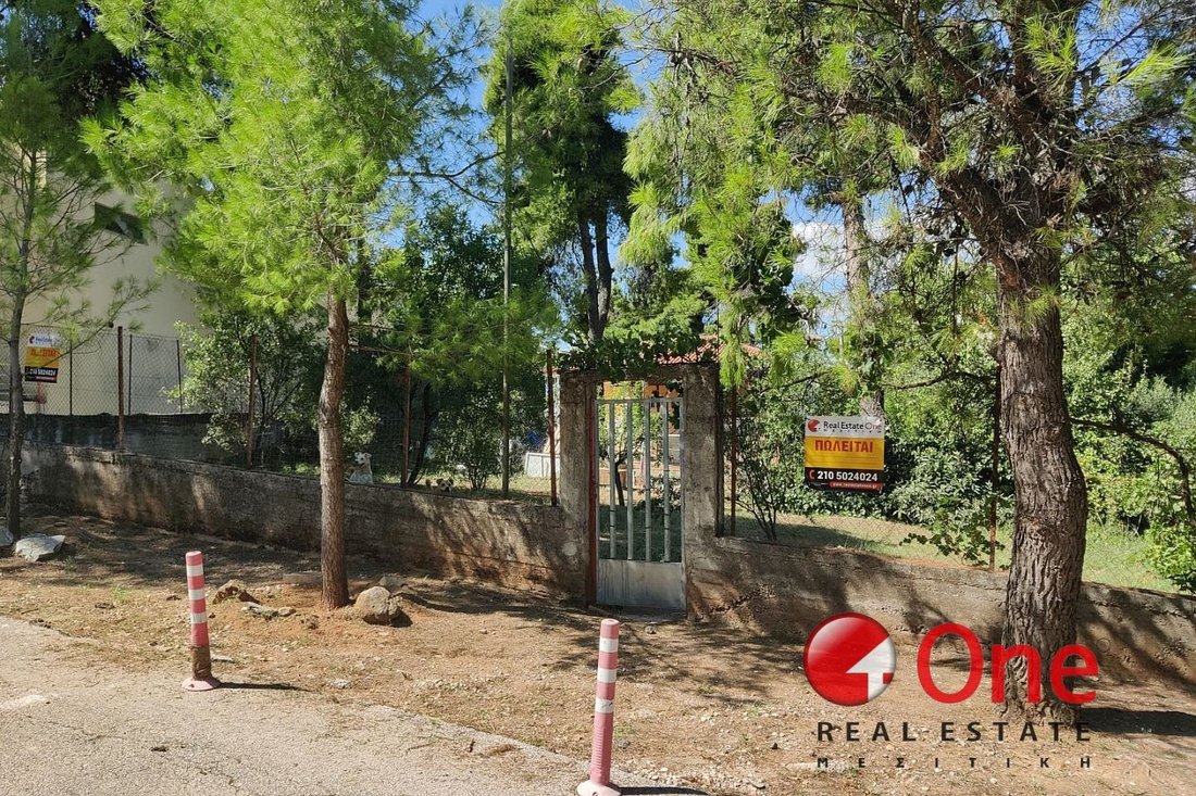 Land in Dionysos, Attica, Greece 3 - 17931542