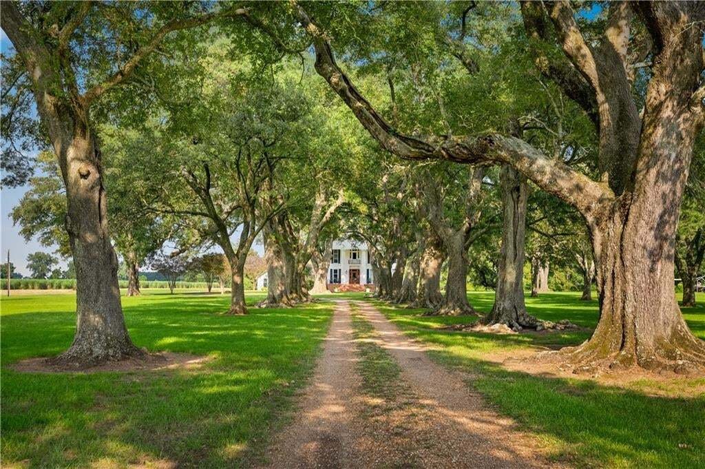 House in Cheneyville, Louisiana, United States 2 - 17937982