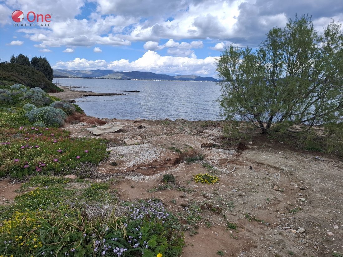 Land in Nea Makri, Attica, Greece 1 - 17932248