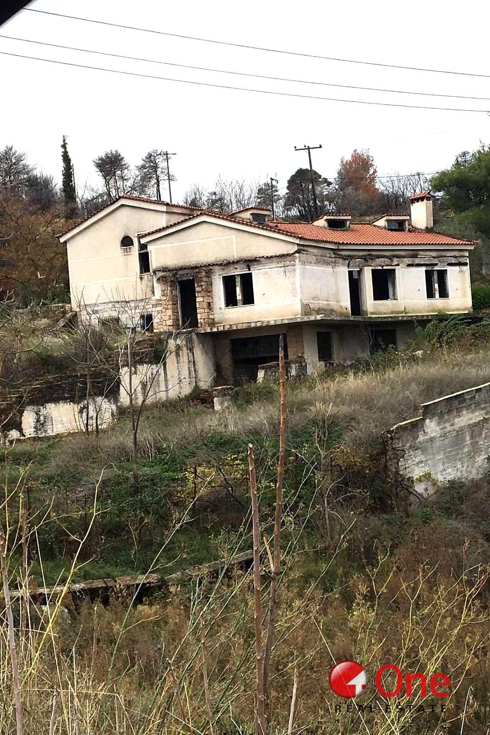 House in Oropos, Attica, Greece 1 - 17931544