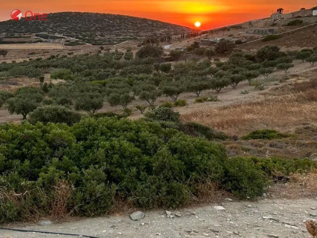 Land in Antiparos, Aegean, Greece 1 - 17931464