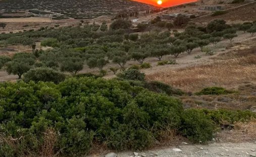 Land in Antiparos, Aegean, Griechenland 1