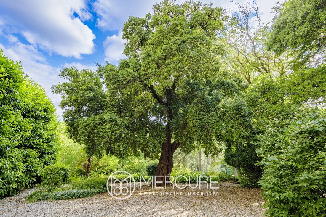 Estate in Gibel, Occitania, France 5 - 17780150