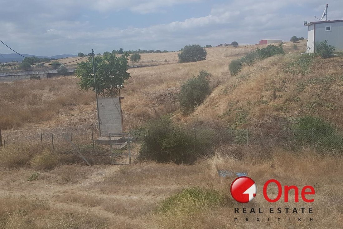 Land in Koinotita Oinophuton, Inofyta, Greece 3 - 17931669