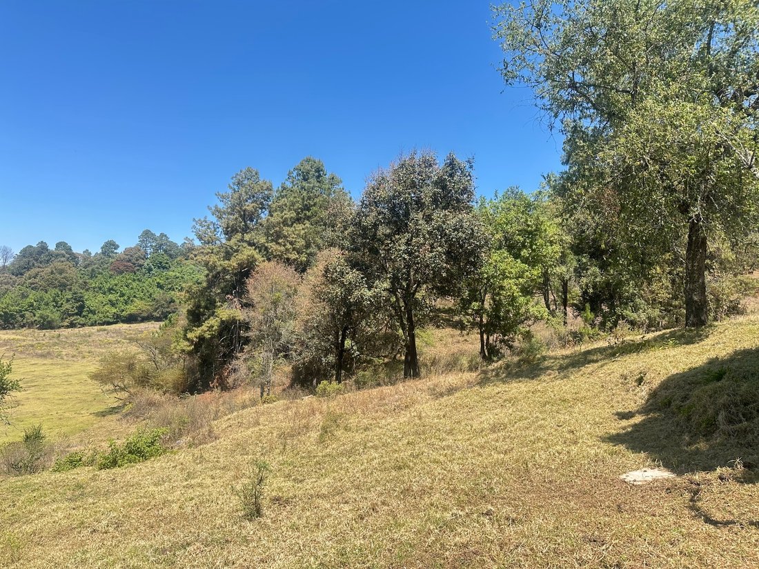 Land in San José Potrerillos, State of Mexico, Mexico 4 - 17930544
