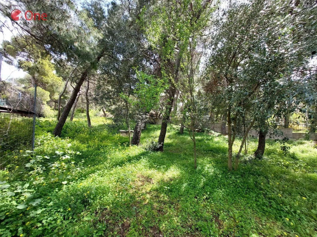 Terrain à Penteli, Attique, Grèce 2 - 17931699