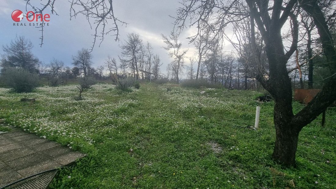 Villa in Oropos, Attica, Greece 5 - 17931035