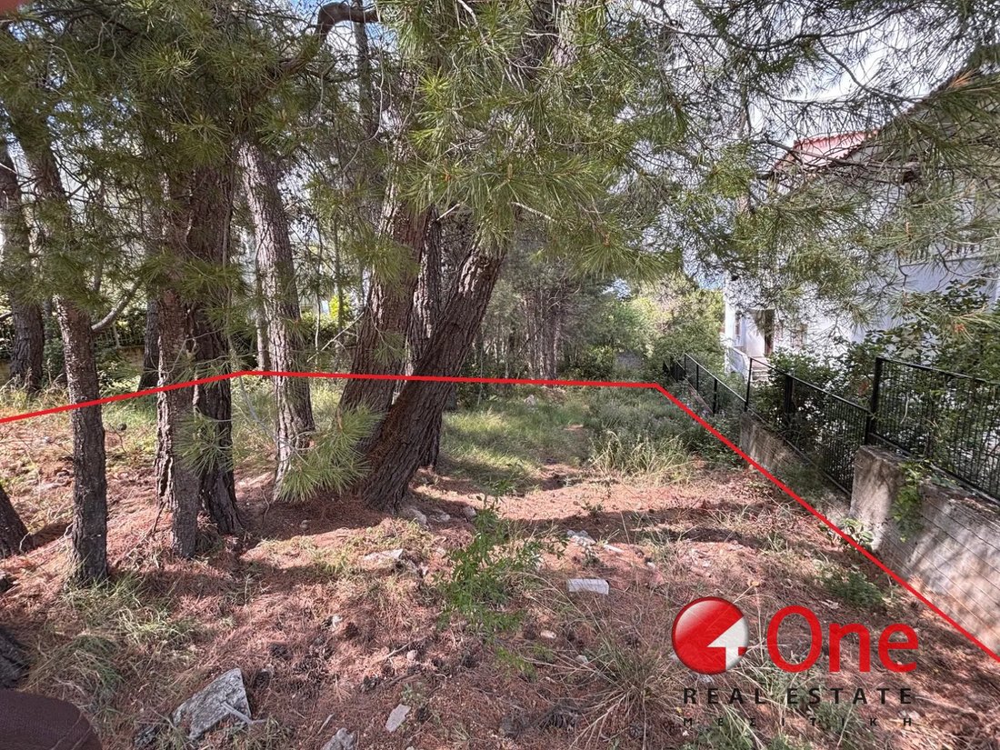 Land in Dionysos, Attica, Greece 2 - 17930881