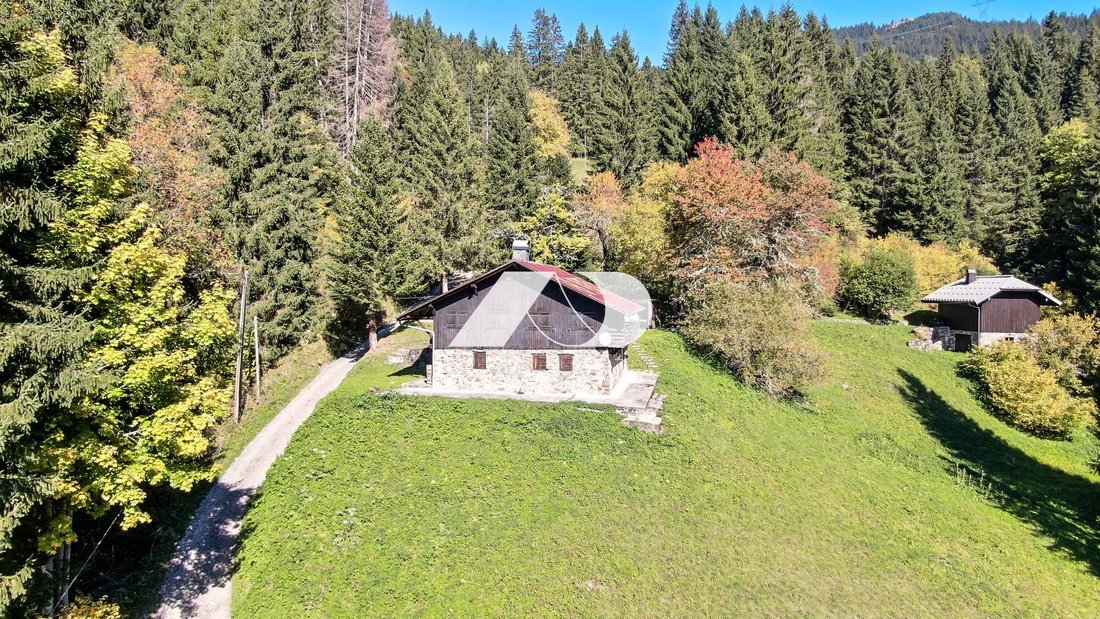 Chalet in Saint-Jean-d'Aulps, Auvergne-Rhône-Alpes, France 2 - 17941880