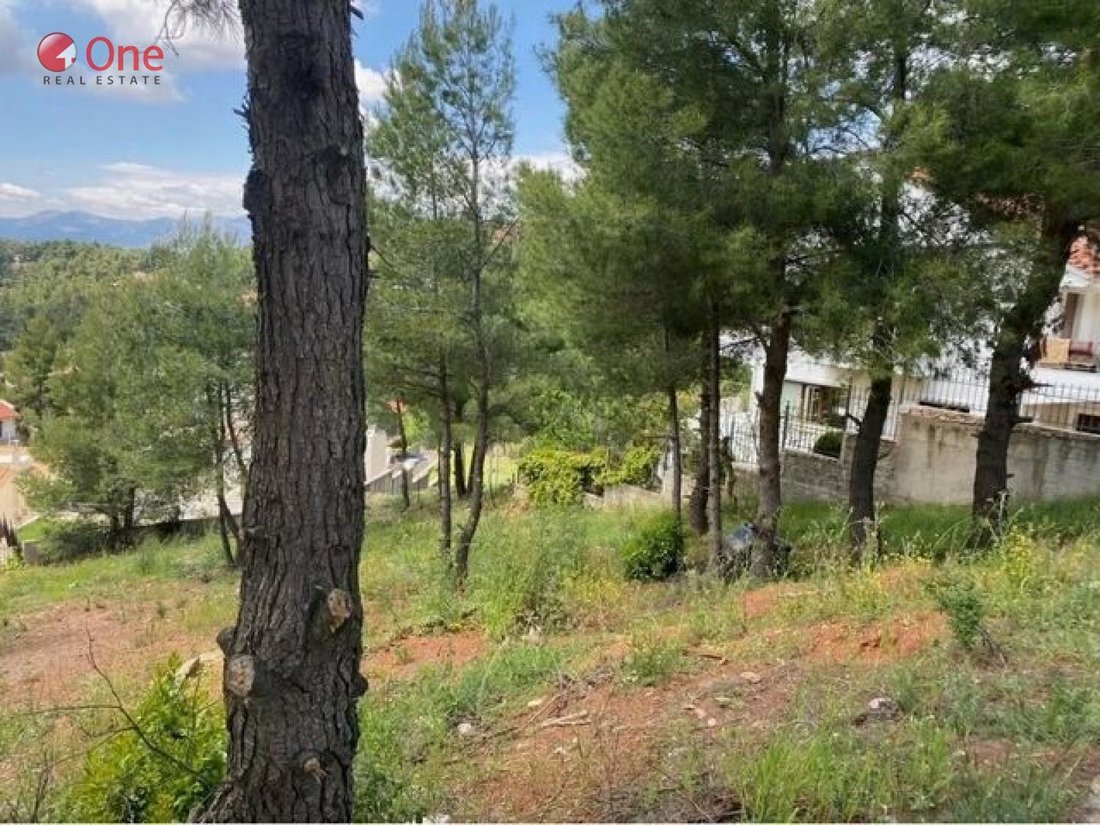 Land in Dionysos, Attica, Greece 1 - 17930322